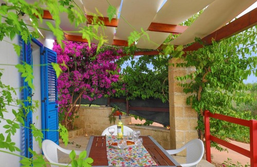 Salve Apartment | Grazioso Monolocale della Casa dell'Olivo