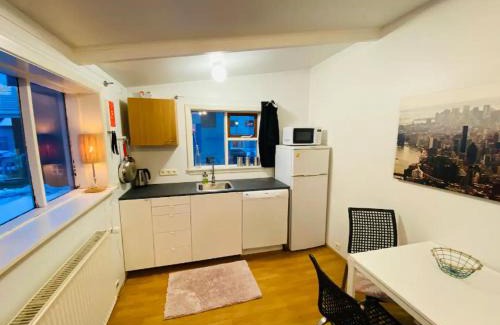 Downtown Apartment | Great Location Downtown Studio