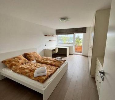 Mnichovice Villa | Great spacious villa near Prague