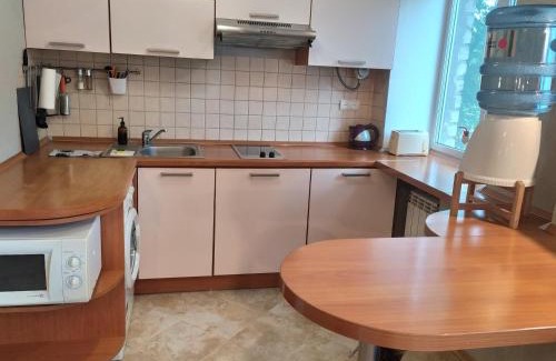Pechers'kyi District Apartment | Great view apartaments near Lavra