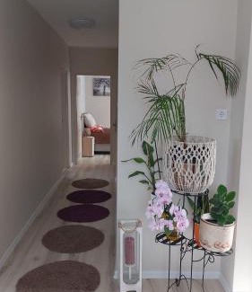 Hamor House | Green Dream Apartment 5 persons