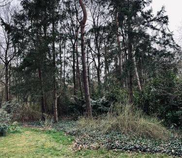 Hellendoorn House | Green Escape Hellendoorn