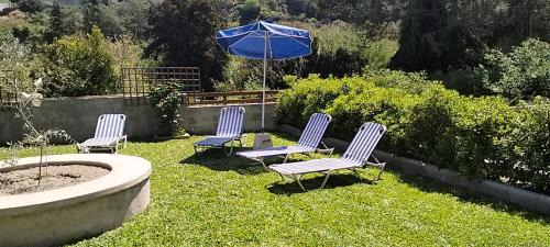 Asgourou Villa | Green Heaven
