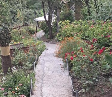 Sighnaghi House | Green House - მწვანე სახლი