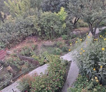 Sighnaghi House | Green House - მწვანე სახლი