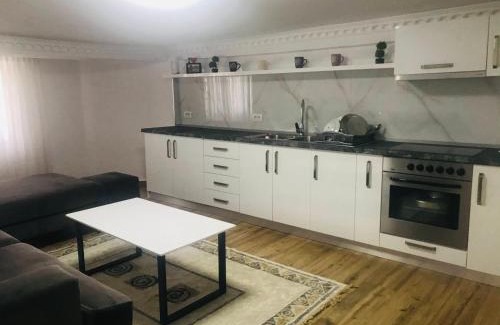 Elbasan Apartment | Green house, 1 bedroom & 1 kitchen apartment, located in Elbasan city center