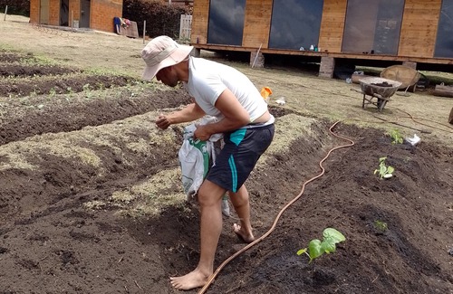 Cogua Hotel | Green House