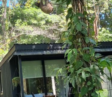 Manzanillo Villa | Green Lapa's