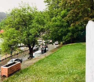 Dunga Gali Hotel | Green Manal Hotel