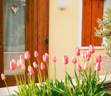 Farra di Soligo Apartment | Green Nest