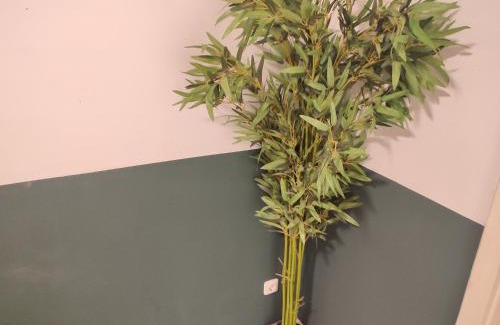 Kelkheim Apartment | Green Plants 24 7 Check In 4 Persons
