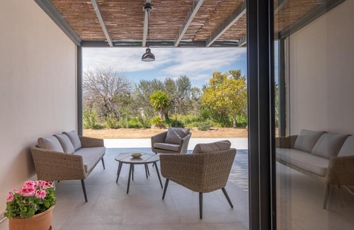 Aegina Town House | Green & Purple