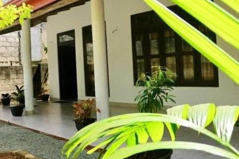 Kithulgala Hotel | Green Rafting Adventure Bangalow
