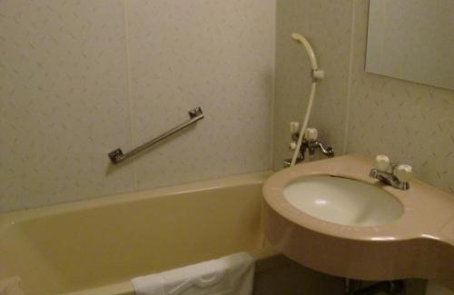Chuo Ward Hotel | Green Rich Hotel Suizenji