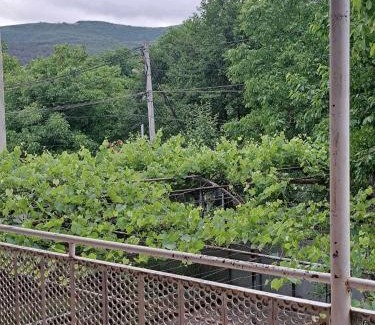 Tsromi House | Green Sweet Guesthouse Surami