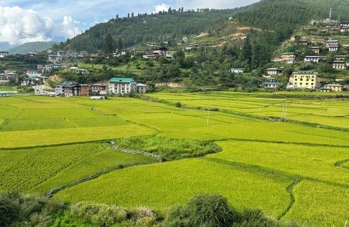 Paro Hotel | Green valley boutique