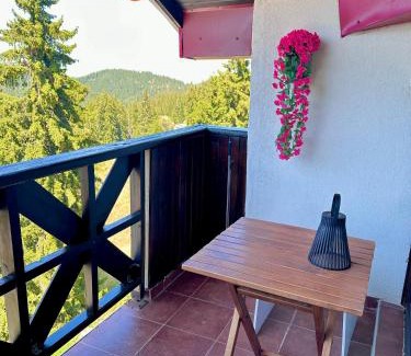 Pamporovo Apartment | Green View Apartment