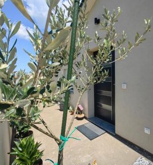 Salatic Apartment | Green View Apartment