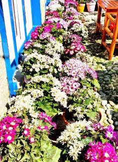 Phakding House | Green Village guest house & hotel