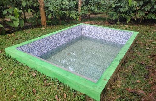 Krishnagiri House | Green Wayanad Homestay