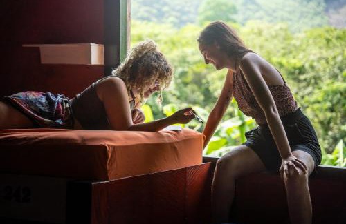 Chicanutz House | Greengos Hotel