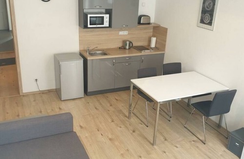Mala Strana Apartment | Greg Apartments Kampa Prague