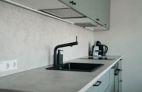 Birstonas Apartment | Grey Green Cozy Apartment