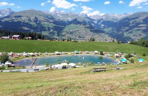 Affeier House | grosses Ferienhaus mit Sauna im Skigeb. Obersaxen