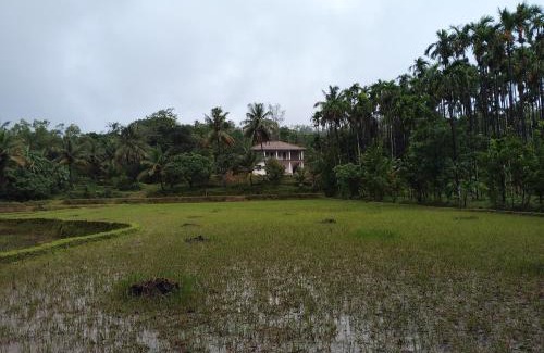 Tumari House | Gubbikanta Homestay