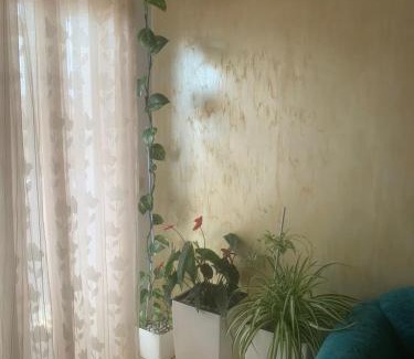 Mbrostar-Urë Apartment | Guest House Fier