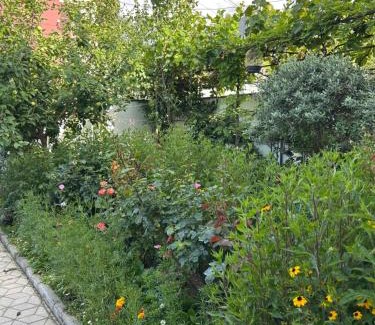 Tsqneti Apartment | Guest House PIROSMANI