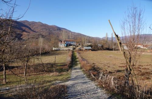 Diber House | Guesthouse Arber