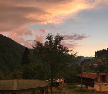 Ayder Yaylasi Apartment | Guesthouse Dolunay