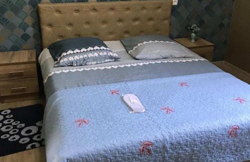 Zanavi House | Guesthouse Nika