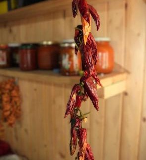 Kukes County House | Guesthouse Shtini