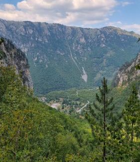Montenegro House | Guesthouse Stanisic