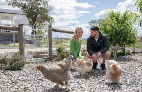 Seaton Villa | Gumnut Cottage Gippsland - Tiny Eco Stay - King Bed, Mountain Views, Fireplace