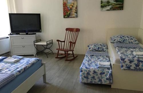 Svahova Apartment | Hájovna Svahová
