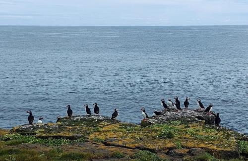 Grimsey House | Hátún Grímsey