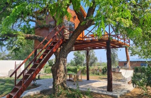 Cordillera House | Haasienda - Nido del Loro - Casa de Arbol