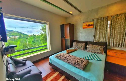 Ooty House | Habib Villa Tulips