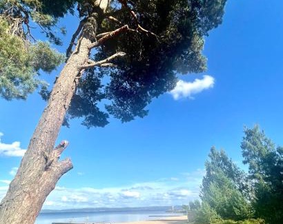 Habo Other | Habo camping och stugby