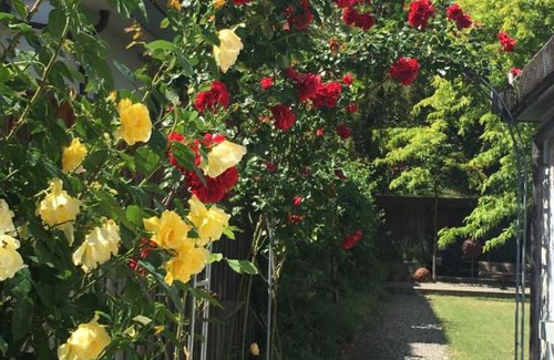 Kirchenfeld-Schosshalde Bed & Breakfast | Habsburg B&B