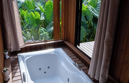 Benedito Novo Ski Chalet | Haere Tonu Cabin with Hot Tub