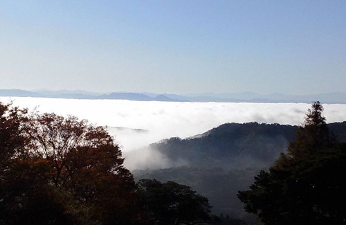 Izumo House | Half Board Standard If you get lost Dinner seas / Izumo Shimane