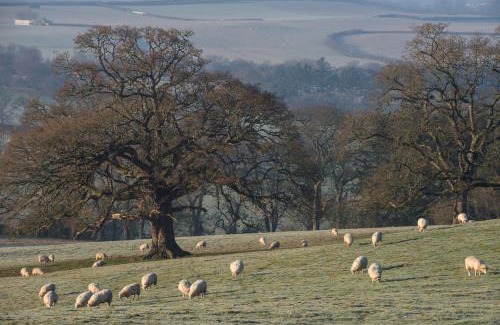 Barnstaple Bed & Breakfast | Hall Bed & Breakfast