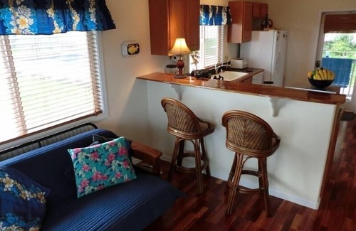 Honokaa House | Hamakua Coast Home- Ocean views, private, clean and friendly