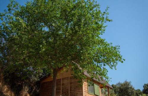 Nuno Gomez House | Hamlet's Friends