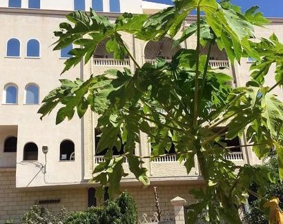 Sousse Apartment | Hammam Antistress