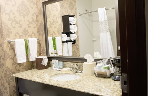 Hope Hotel | Hampton Inn & Suites Hope